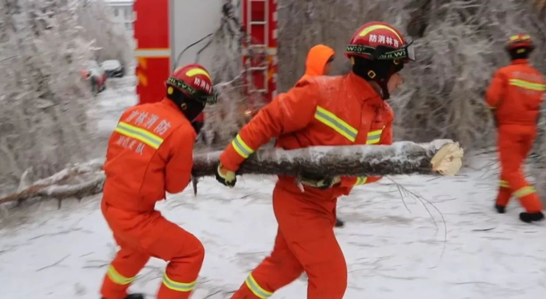 吉林省长春市消防救援支队清理被风雪吹倒的树木.png