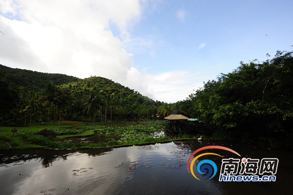 首届海南地名文化系列活动走进保亭，探秘神奇 雨林。.jpg