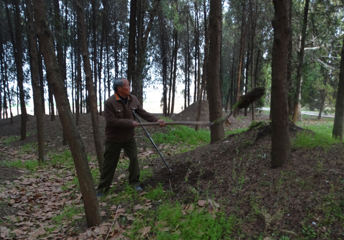 W020180709610485156403 (1).jpg