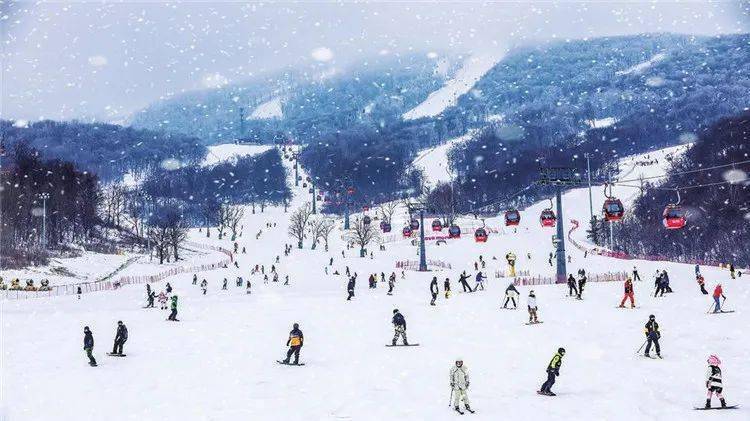 四季滑雪场.jpeg