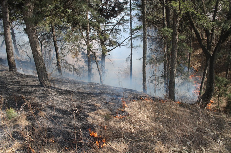 返回途中“偶遇”火灾 长春市消防救援支队莲花山中队迅速处置1.jpg
