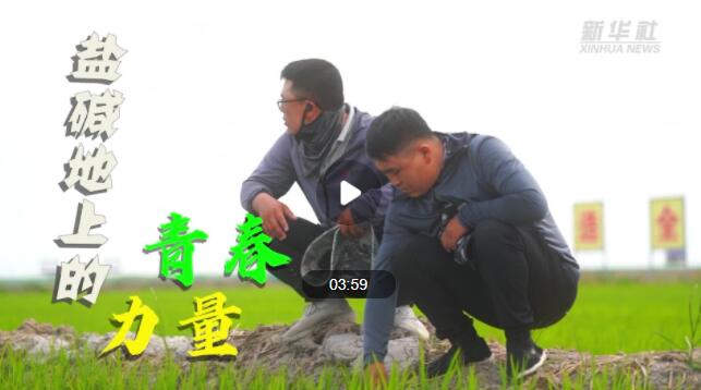 QQ截图20230623164624.jpg