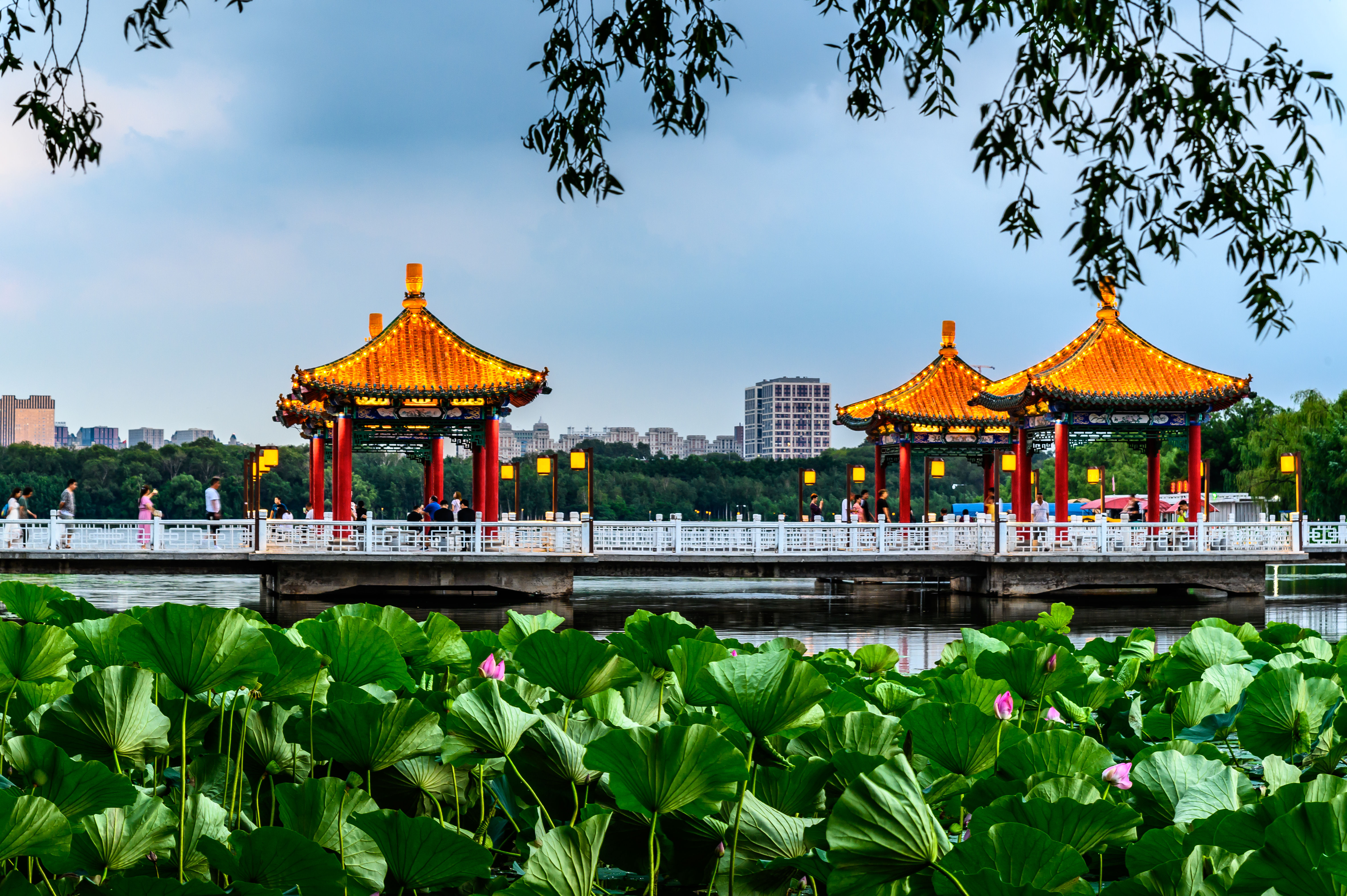 南湖公园2.jpg