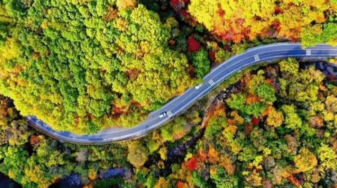 QQ截图20231020135651.gif
