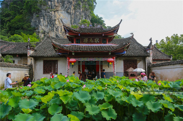 状元楼前荷花盛。 广西新闻网记者黄河畅 摄.png 状元楼前荷花盛。 广西新闻网记者黄河畅 摄.png