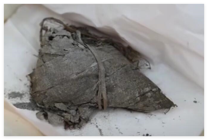 900年前的粽子.png 900年前的粽子.png