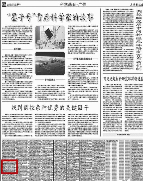 王宝强方回应马蓉爆料 或将马蓉踢出公司